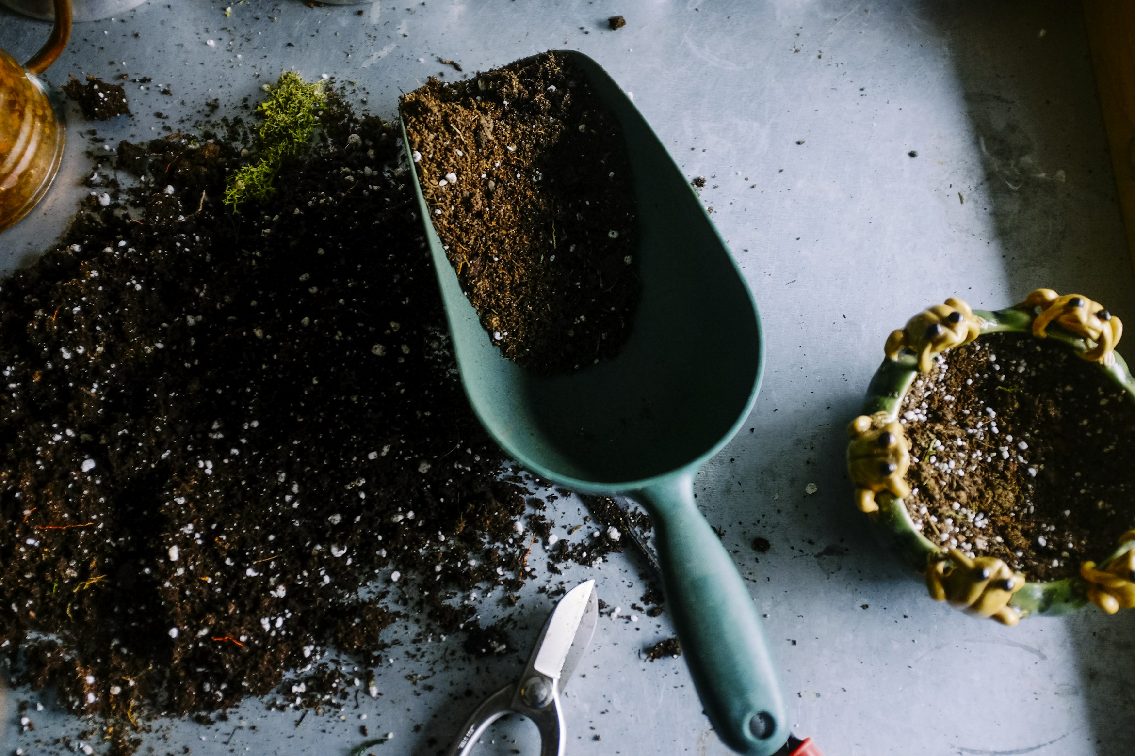 Sustainable agriculture and microgreens farming